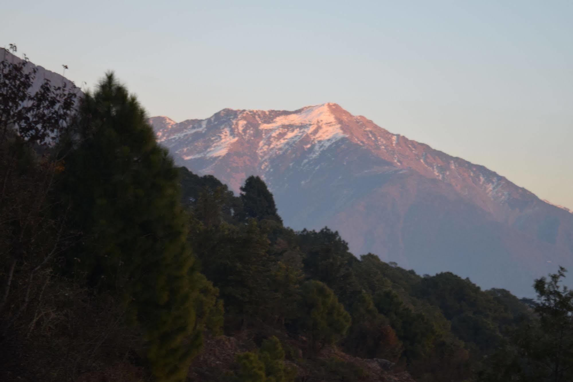 Hotel The Exotica Dharamsala Zewnętrze zdjęcie